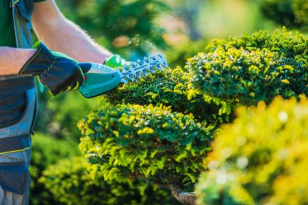D & D Landscaping